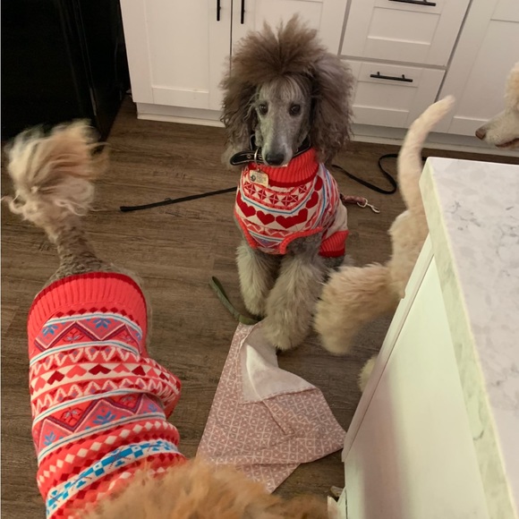 Charm Fair Isle Matching Family Sweater dog sweater - Picture 4 of 11